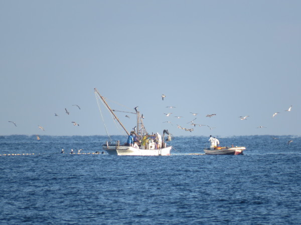 f0214649_04025404.jpg