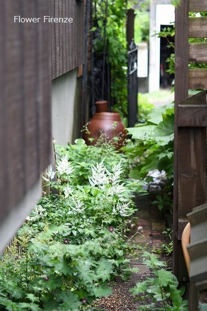 *シェードガーデンとお休みについて*_e0159050_17333599.jpg