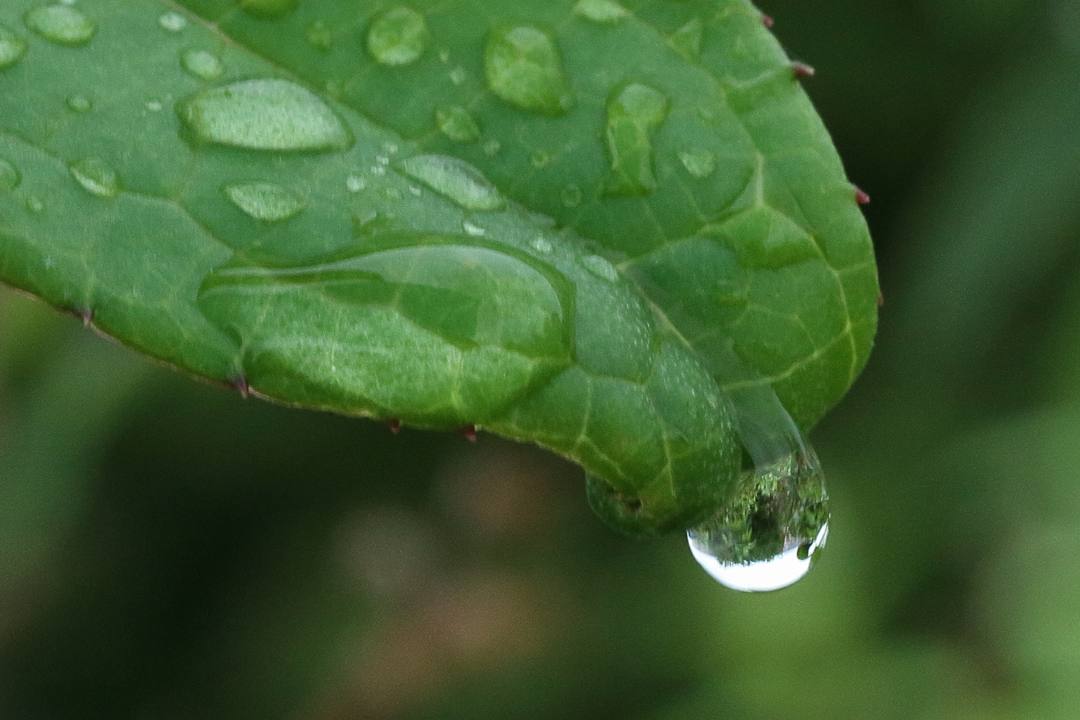 e0403850_23581079.jpg