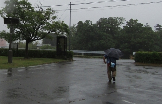 b0220251_21011540.jpg