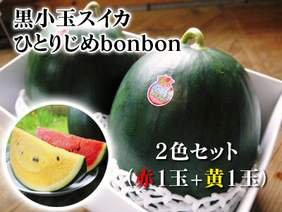 黒小玉スイカ「ひとりじめbonbon」令和4年の黄色果肉は6月24日が最終発送!赤果肉、メロンとのコンビも大人気! _a0254656_16315124.jpg
