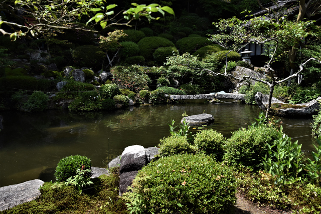 a0284558_102230100.jpg