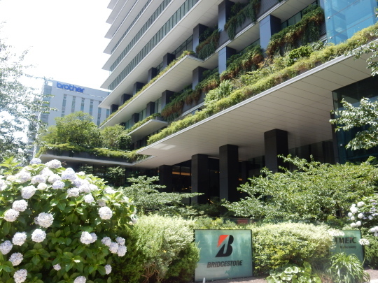 ’19,6,27(木)銀座で女子会ランチと銀ブラ!_f0060461_11280392.jpg
