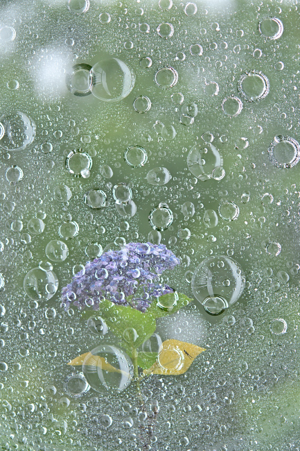 b0183370_09373562.jpg