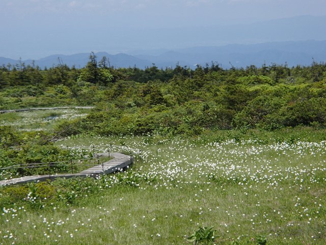a0344771_20543206.jpg