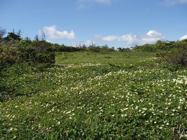a0344771_20552684.jpg
