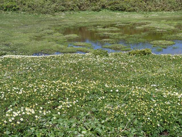 a0344771_20561138.jpg