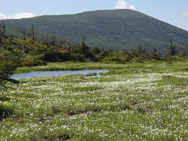 a0344771_20562890.jpg