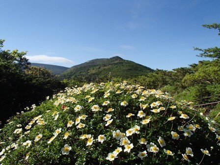 a0344771_20564007.jpg