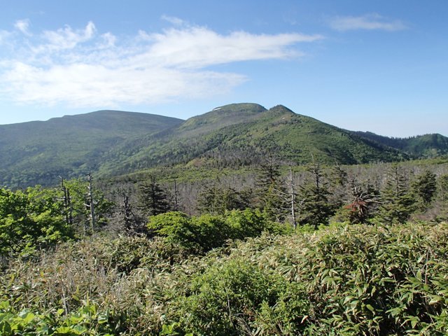 a0344771_20564612.jpg