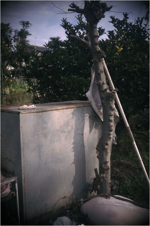c0168172_15524915.jpg
