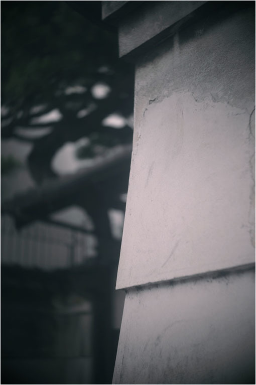 c0168172_22265647.jpg