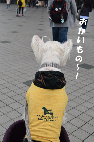 b0242873_22585037.png