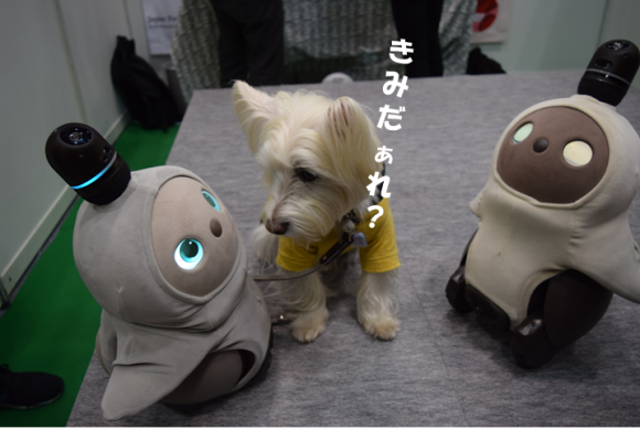 b0242873_23274605.png