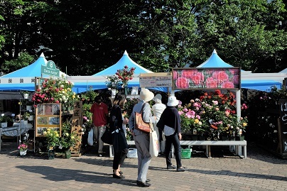 花フェスタ19 In 札幌 ランの展示会に行きました ワイン好きの料理おたく 雑記帳