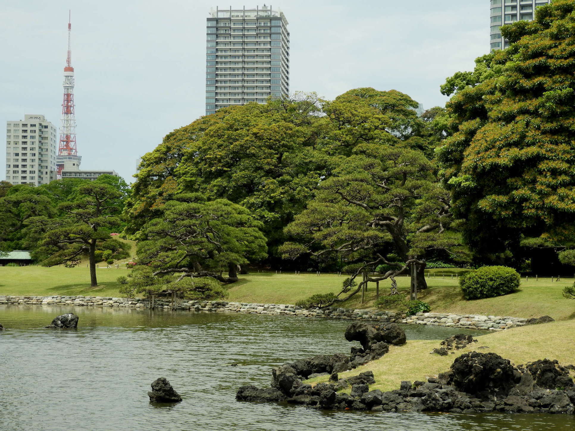 東京そぞろ歩き・庭園探訪：浜離宮恩賜庭園_f0049074_10233773.jpg