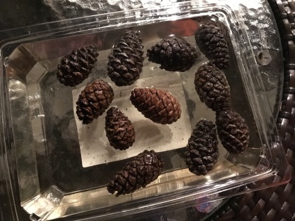 b0197576_20124922.jpeg