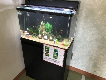 6/27 店長日記_e0173381_17314920.jpg