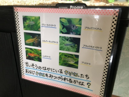 6/27 店長日記_e0173381_17315457.jpg