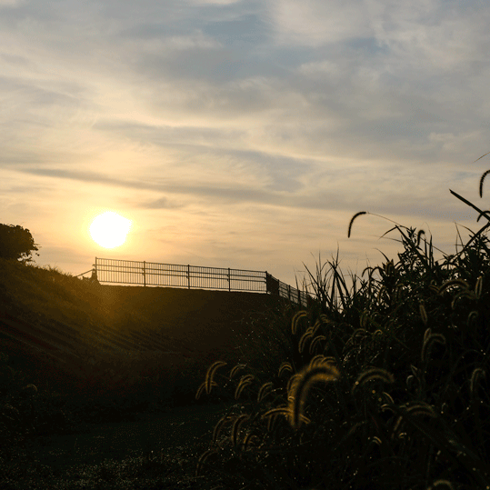 e0243382_06231962.gif