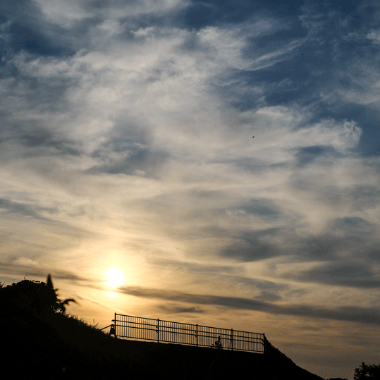 e0243382_06235181.gif