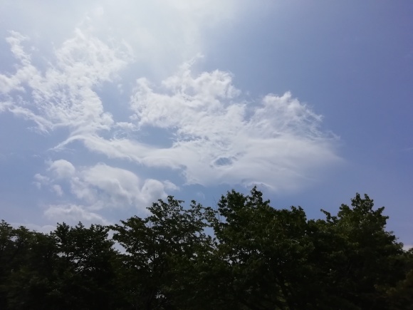 c0212083_19070856.jpg