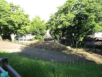 f0003283_12174319.jpg