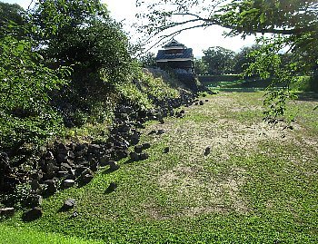 f0003283_12175888.jpg