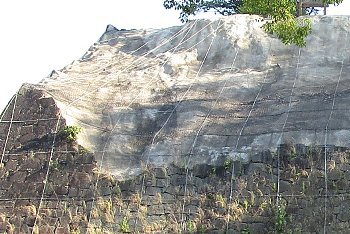 f0003283_12193663.jpg
