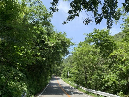a0251786_15112698.jpg
