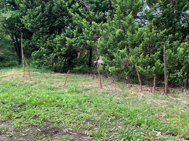 e0008887_09115850.jpg