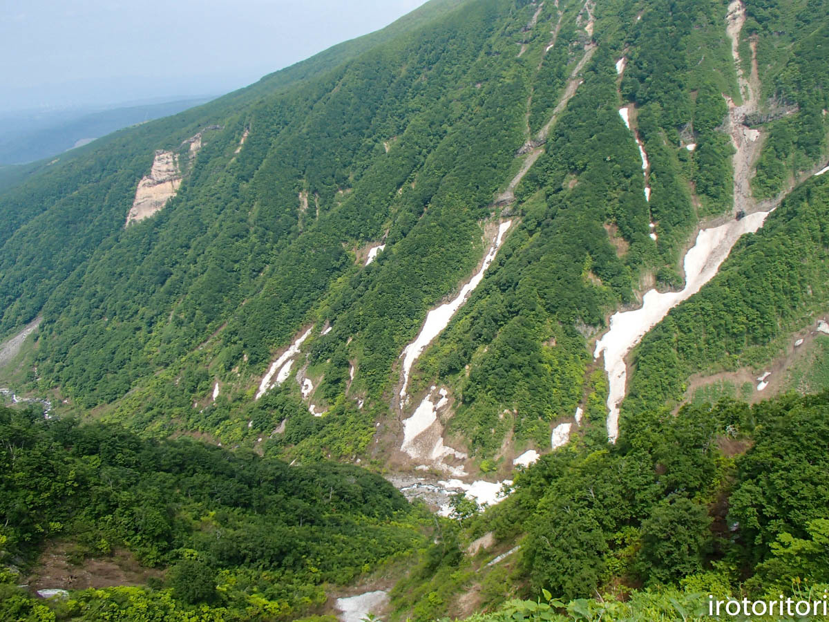 d0146592_00073354.jpg