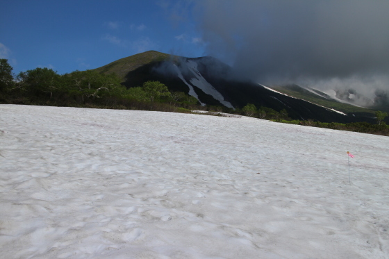 d0198793_11351035.jpg