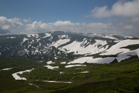 d0198793_11532815.jpg