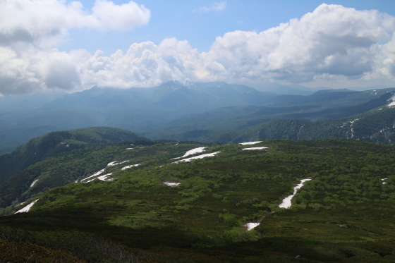 d0198793_11562409.jpg