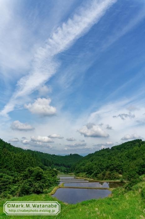 小国町の棚田-2_e0135098_07064333.jpg