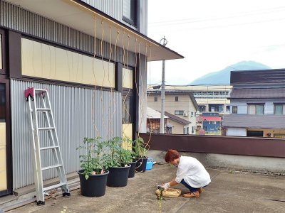 会館にミニ菜園が出来ました!_c0336902_20362317.jpg