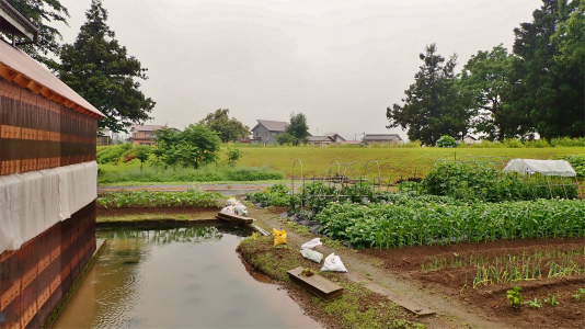思い切り梅雨空です!_c0336902_21332705.jpg