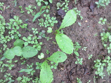 a0203003_19271993.jpg