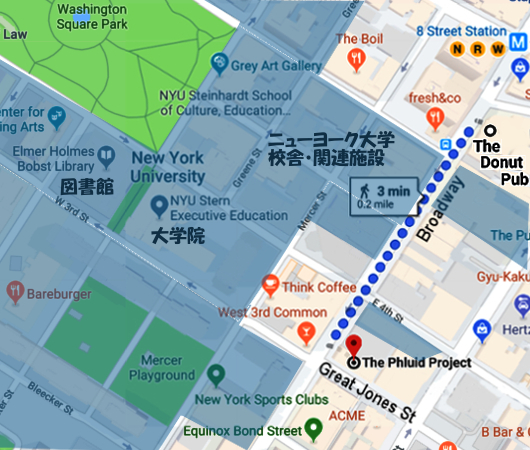 ニューヨーク大学（NYU）キャンパス・エリアの独特の雰囲気_b0007805_21081550.jpg