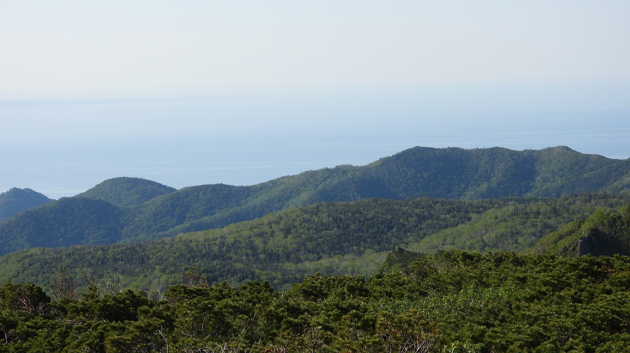 d0360910_08035347.jpg