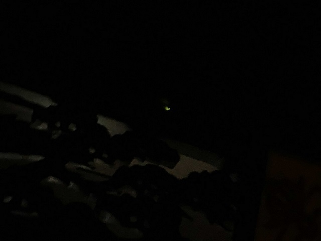 e0340012_20204604.jpg