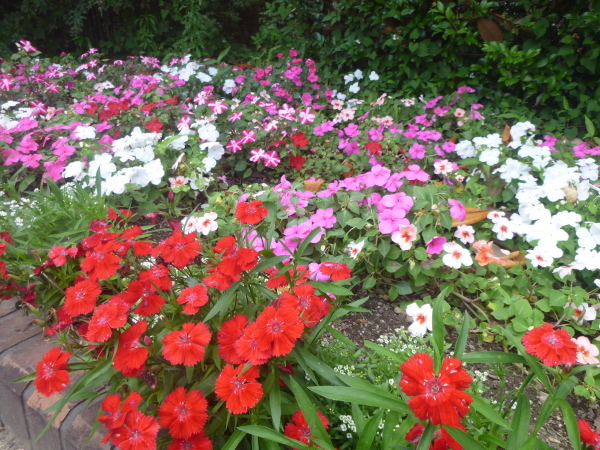 d0170615_16140908.jpg