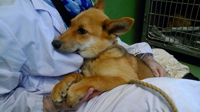 f0078320_10144003.jpg