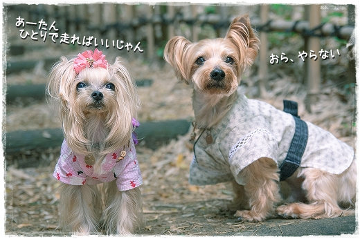 d0179828_14315939.png