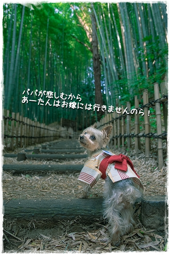 d0179828_14441418.png