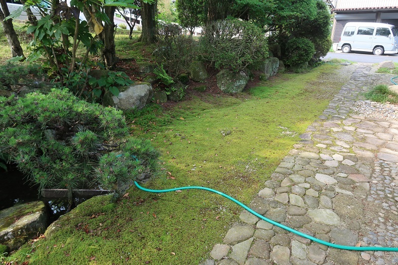 環境改善と科学_f0076731_15141365.jpg