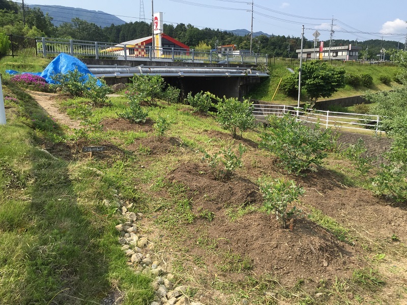 環境改善と科学_f0076731_19104713.jpg
