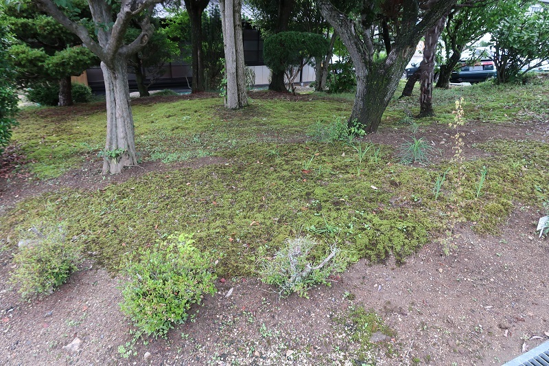 環境改善と科学_f0076731_19413991.jpg