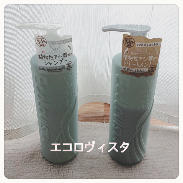 エコロヴィスタ まだまだ新人ママ